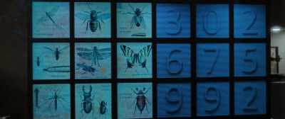 The images on the left
correspond to a code, - Escape Room: Tournament of Champions