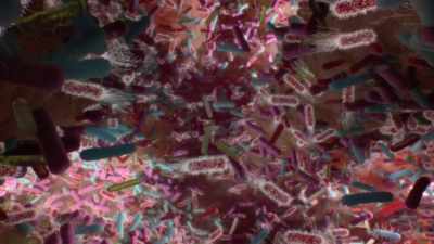 -The immune system has to
constantly strike a balance - Human: The World Within