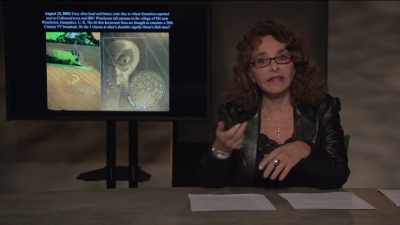 The implication seemed to be
that the crop formation was - Truth Hunter