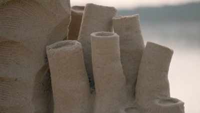 The imports are actually
quite difficult to do as you - Race Against The Tide