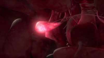 The impulses go straight to the amygdala, - Human: The World Within