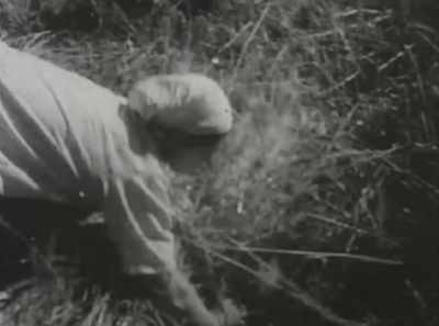 The individual has little right to - The Gilligan Manifesto
