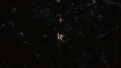 The information content
of the human brain expressed - Cosmos: Possible Worlds