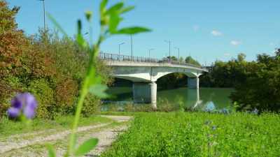 The inspection discovered
that the Swiss side was - Engineering Catastrophes