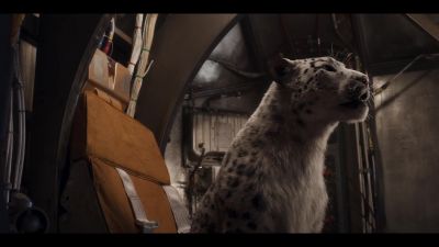 The Intention Craft
works through clarity. - His Dark Materials