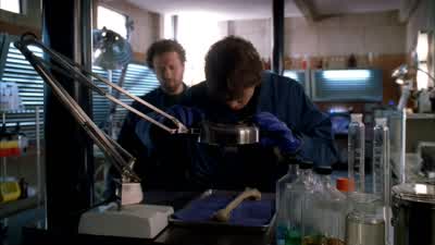The intertrochanteric crest is almost totally eaten away. - Bones