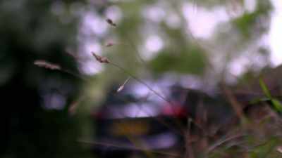 The investigation focused
on Janet's movements, - When Missing Turns to Murder