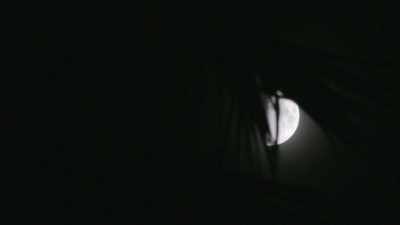The investigation led us
to believe - Buried In The Backyard