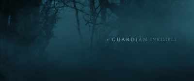 THE INVISIBLE GUARDIAN - The Invisible Guardian