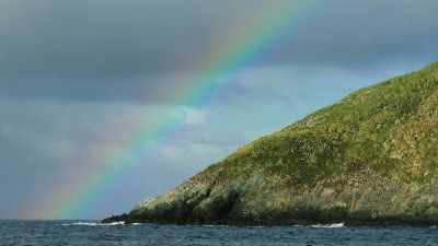 The islands offer a safe haven
for over two million nesting seabirds. - Our Great National Parks
