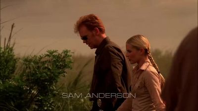 The jet was registered to a Scott Eric Summer - CSI: Miami