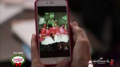 The Jingle Bell flower? - Jingle Bell Bride
