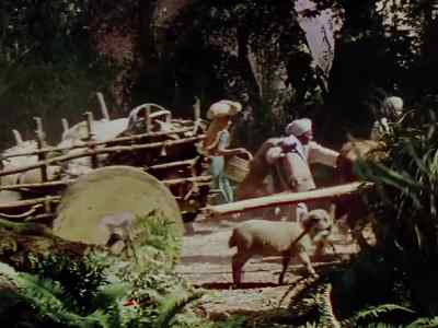 The jungle is burning.
Hurry up, Hathi. - Jungle Book