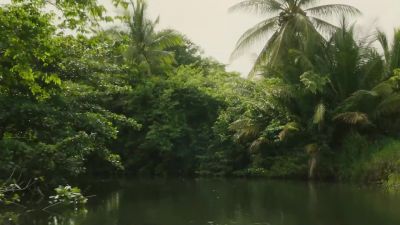 The kidnapper picked a good
location for the drop-off. - Death in Paradise