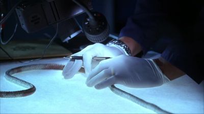 The killer used materials from the church: - CSI: Crime Scene Investigation