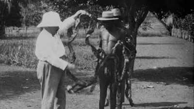 The king instituted
a monopoly on rubber and ivory - Exterminate All the Brutes
