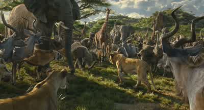 Your Highness. - Mufasa: The Lion King