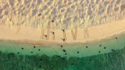 The largest green turtle nesting site
in the world. - Our Great National Parks