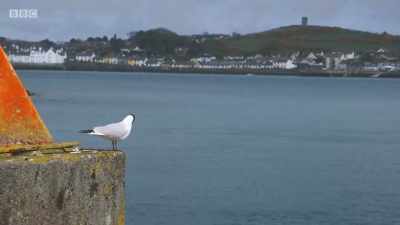 The largest inlet
in the British Isles, - Mountain Vets