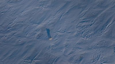 The largest predator to walk the earth needs to catch a seal every week. - Big Beasts
