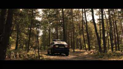 The last call I had: a panicked guy called - Nobody Sleeps in the Woods Tonight