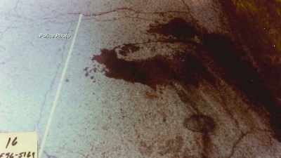 THE LAST COUPLE OF DAYS - Evil Lives Here: Shadows Of Death