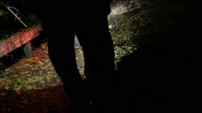  The Last thing that
 Chris described - Expedition Bigfoot