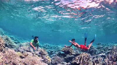 The last time I dove this reef - Journey to the South Pacific