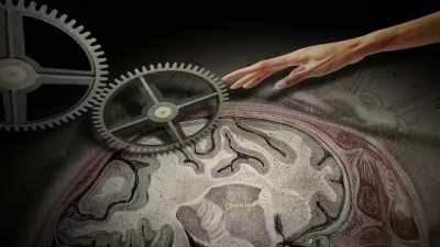 The left hemisphere's goal is to
enable us to manipulate things. - The Divided Brain