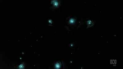The light is formed
by a chemical reaction - David Attenborough's Tasmania