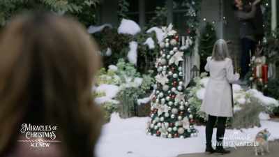 The lights need to be
in the garland! - The Christmas Promise