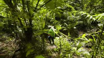 The local support
team comes up with a plan, - Lost Treasures of the Maya