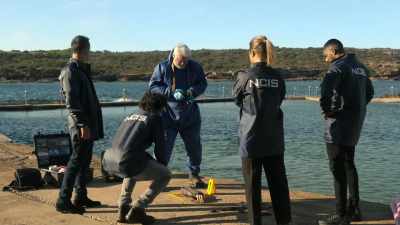 The locals usually pick them up - NCIS: Sydney