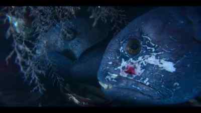 The lone wolf is no match - Our Oceans