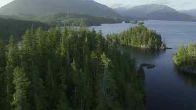 The longer an island has been isolated, - Prehistoric Planet
