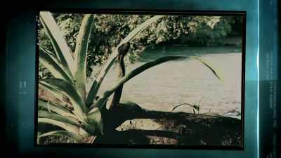 THE LONGEST RECORDED SNAKE
AT OVER 21 FOOT - Expedition Mungo