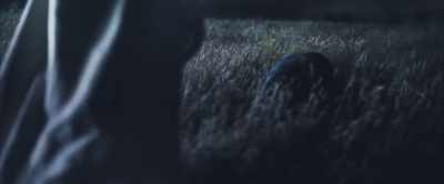 THE LORD: No longer
shall you be called Abram. - His Only Son