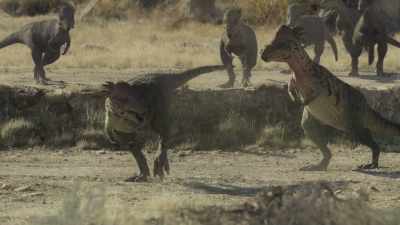 The loser has to pay a heavy price. - Prehistoric Planet