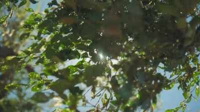 "The lure of the
Alpujarras...", they write, - Write Around the World with Richard E Grant