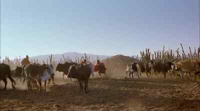 The maasai believe
that heaven gave them - Africa: The Serengeti