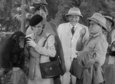 The magnificent specimen seems
to be allergic... - Tarzan and the Amazons
