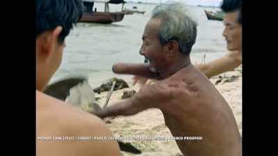 -The maimed, mutilated by
the voracious fish, - The Found Footage Phenomenon