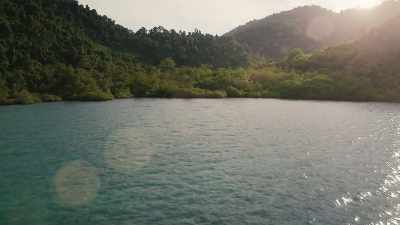 The Malay Archipelago, - The Green Planet