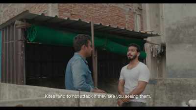 The male and female attack. - All That Breathes
