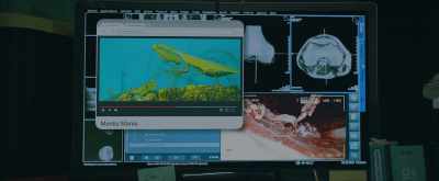 The male's body serves
as a source - Replicator