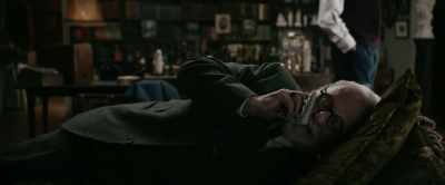 The man was chronicled
by his contemporaries - Freud's Last Session