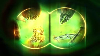 The man was shot execution-style. - CSI: Crime Scene Investigation