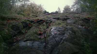 The man who supposedly fell off
a cliff was Daniel Brandt. - Chronicle Mysteries: Helped to Death