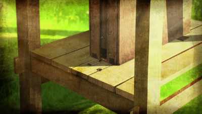 The marked bee would
later return to dine on - Cosmos: Possible Worlds