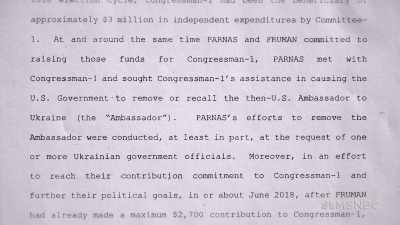 The marquee count in
the first indictment was - From Russia with Lev